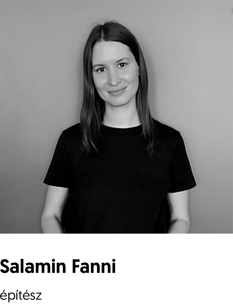 Salamin Fanni