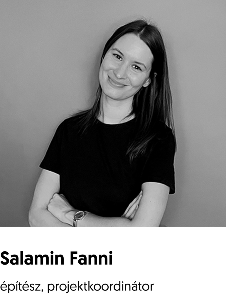 Salamin Fanni